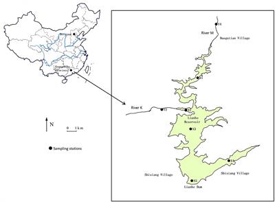 Evidence for the Primary Role of Phytoplankton on Nitrogen Cycle in a Subtropical Reservoir: Reflected by the Stable Isotope Ratios of Particulate Nitrogen and Total Dissolved Nitrogen